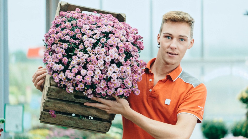 Markus Schneeberger Businessfotografie bellaflora MG 7950 DxO